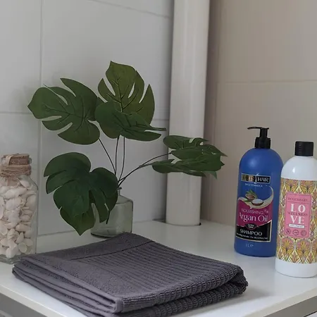 Le Casselardit -t4 Proche Hopital - Clim - Balcon Apartmán *